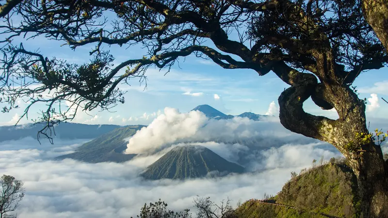 Menjelajah Dunia Lewat Wisata Alam dan Budaya